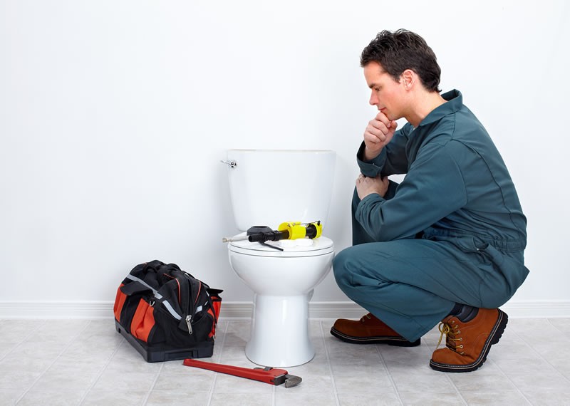 DIY Fix or Call a Pro? Making the Right Choice for Your Toilet Repair Troubles