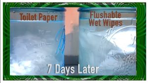 flushable wipes